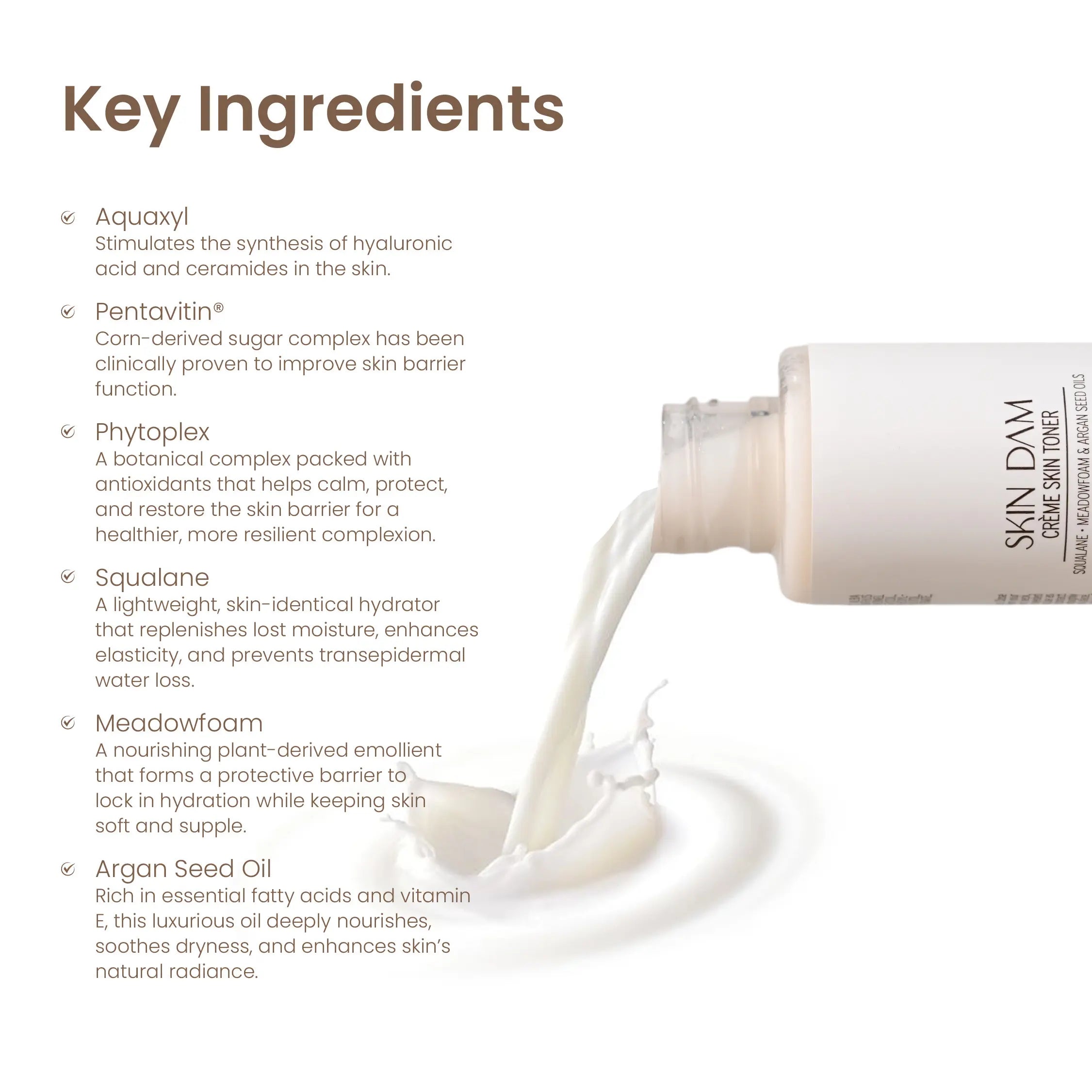 Combo of 3 x Skindam Toner
