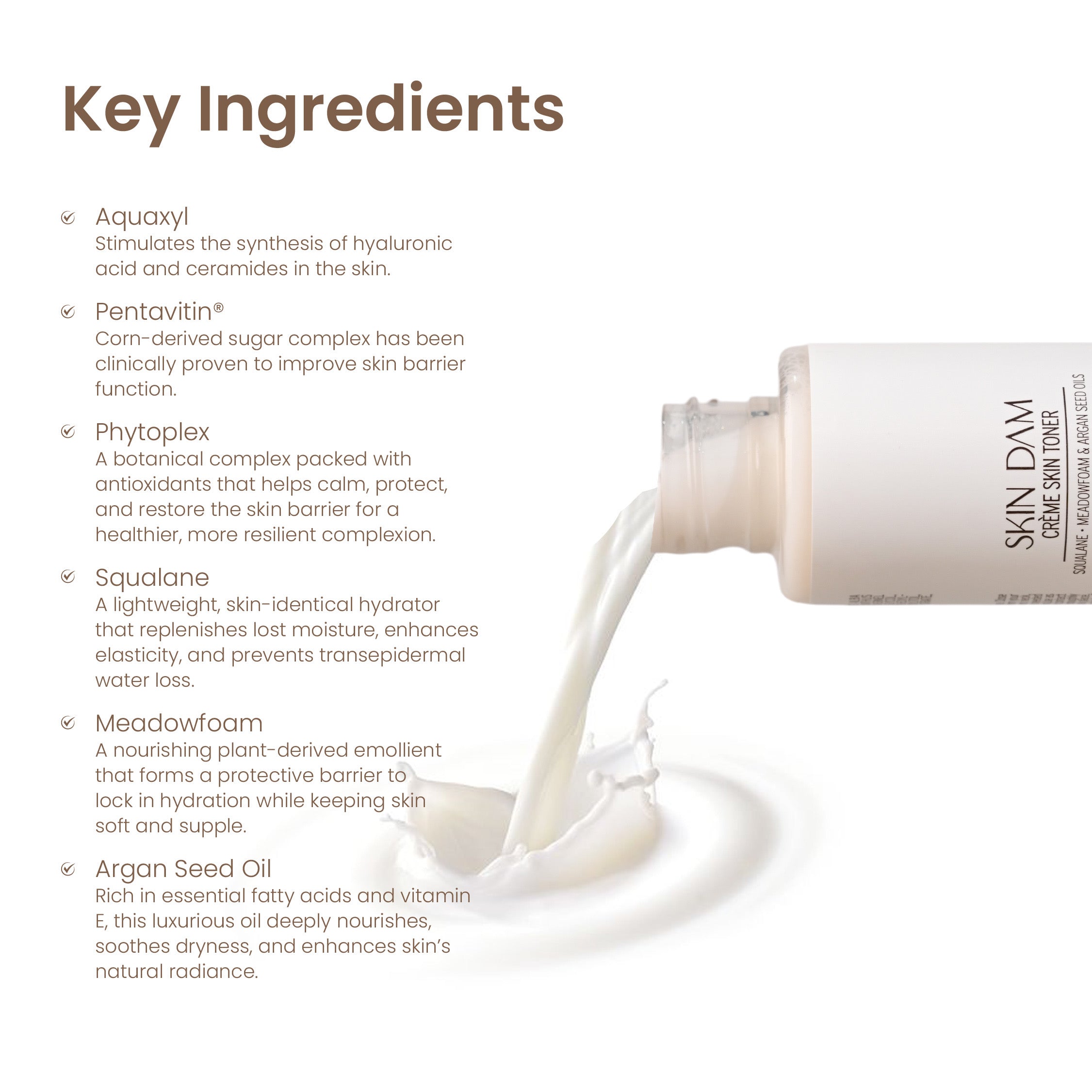 Buy Skindam Toner & Choose Free Product